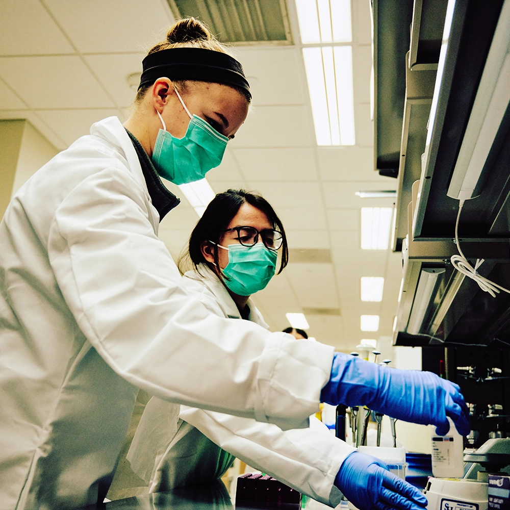 Students working in forensic science laboratory