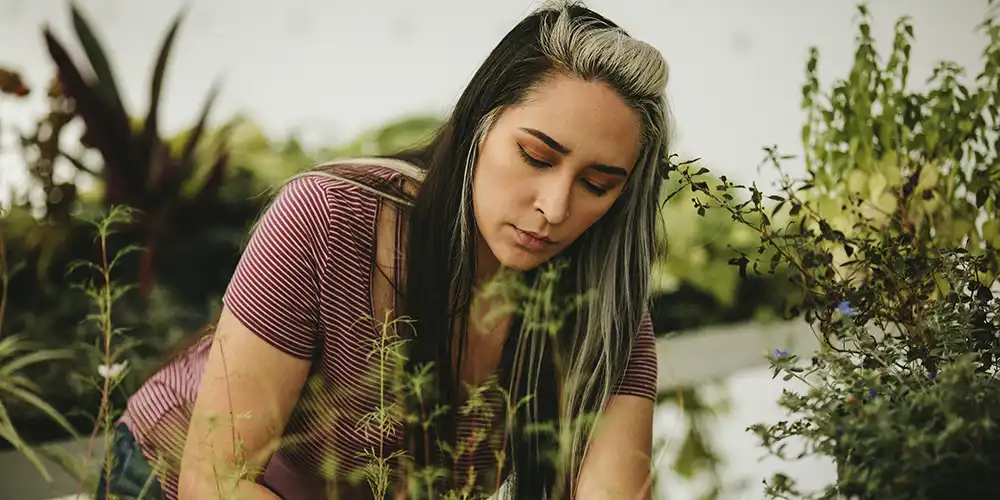 ​​Student working in a Greenhouse​.