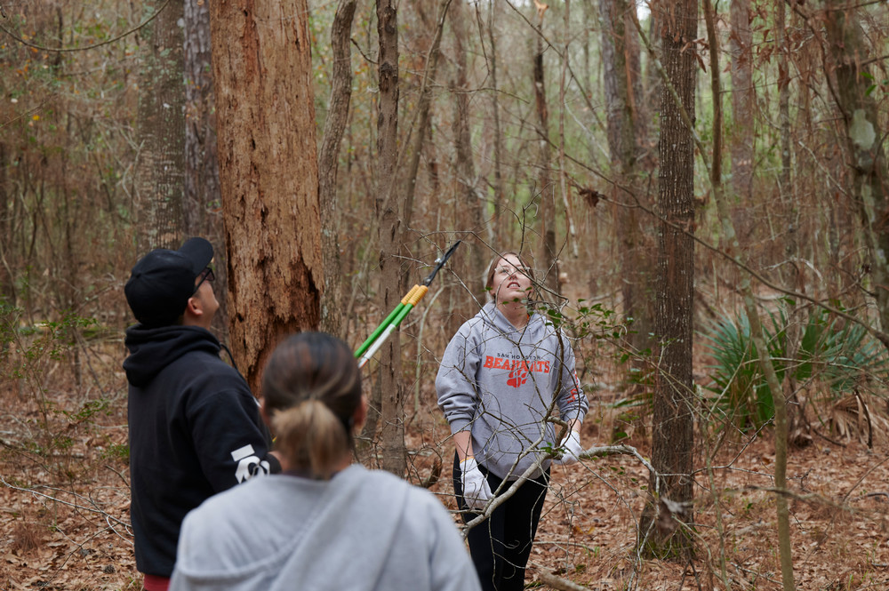 ​​Students working at the Pineywoods Environmental Research Laboratory ​