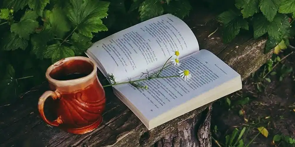 Book outside on bench with coffee mug and flowers