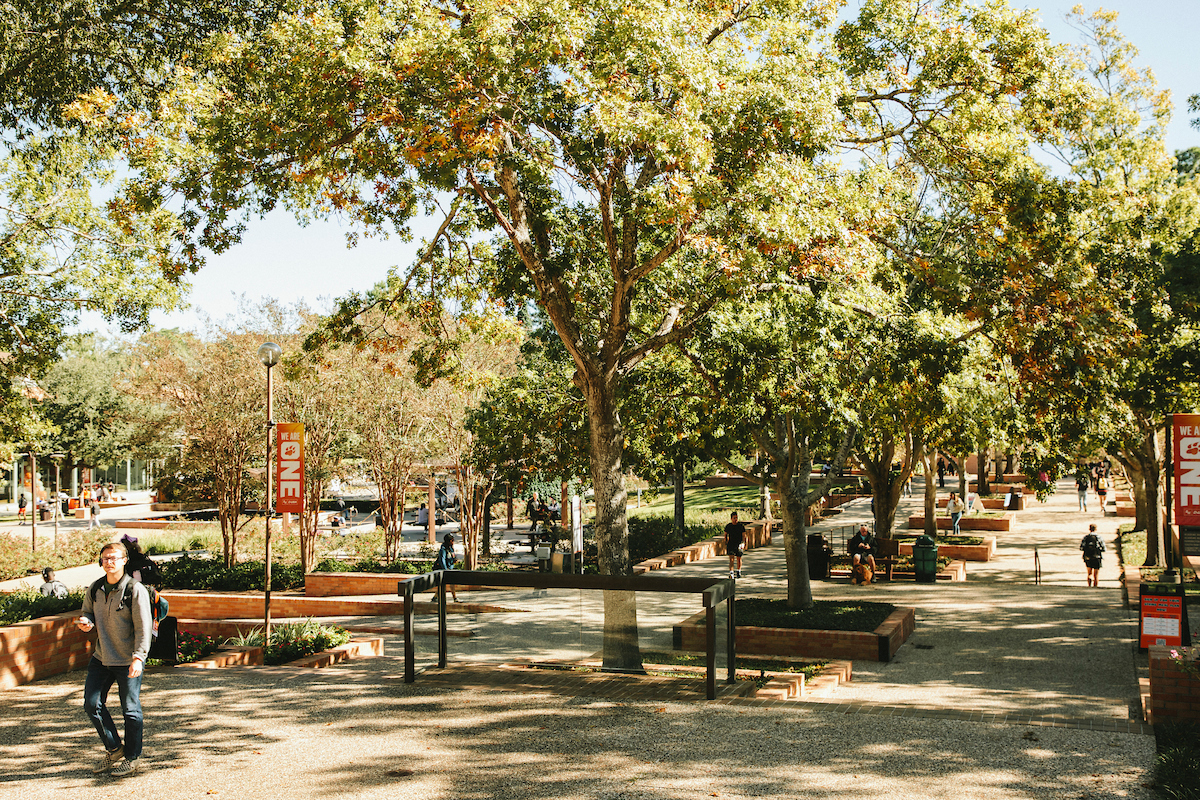 ​​Image Alt Text​ 