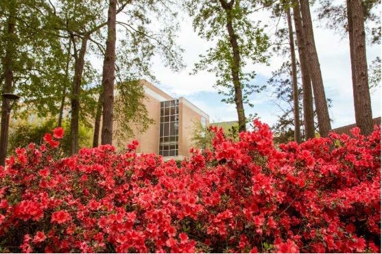 ​​The Smith-Hutson building framed by blooming red azaleas and green trees on a bright spring day.​ 