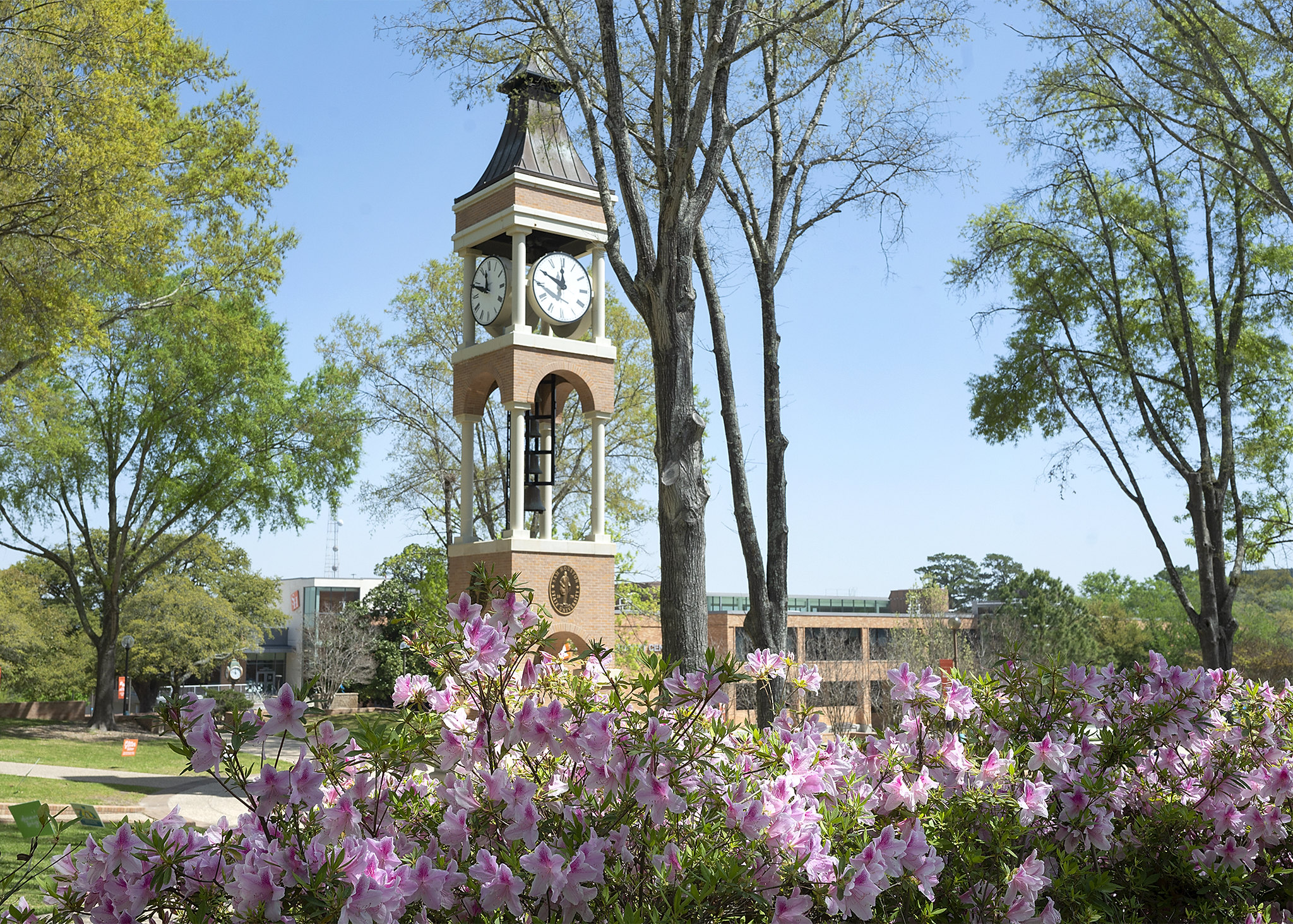 ​​Sam Houston State University’s bell tower stands tall in the background on a sunny day, with vibrant spring flowers in the foreground. ​ 